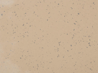 Suelo de PVC Homogéneo GERFLOR MIPOLAM PLANET 2mm de Espesor de 2X20MT
