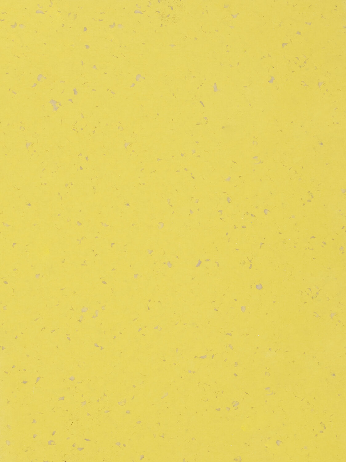 Suelo de PVC Homogéneo GERFLOR MIPOLAM PLANET 2mm de Espesor de 2X20MT