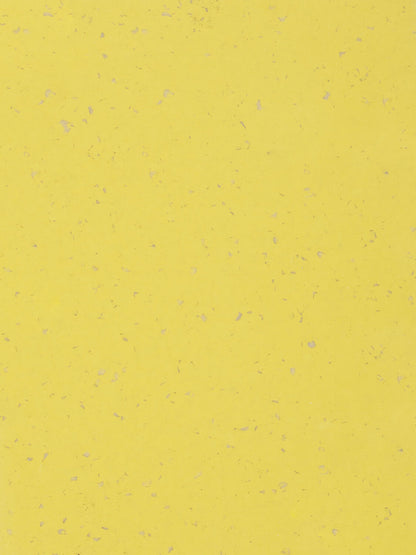 Suelo de PVC Homogéneo GERFLOR MIPOLAM PLANET 2mm de Espesor de 2X20MT