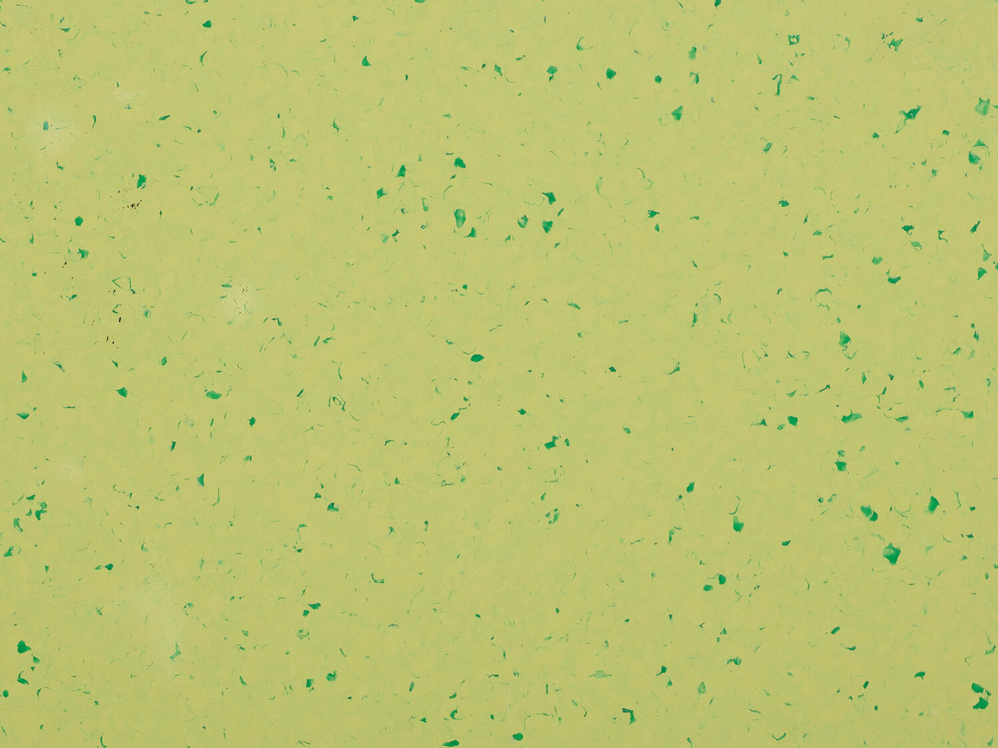Suelo de PVC Homogéneo GERFLOR MIPOLAM PLANET 2mm de Espesor de 2X20MT