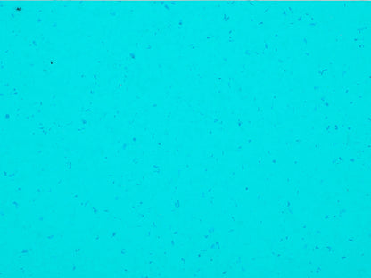 Suelo de PVC Homogéneo GERFLOR MIPOLAM PLANET 2mm de Espesor de 2X20MT