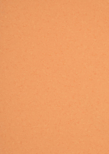 Suelo de PVC Homogéneo GERFLOR MIPOLAM SYMBIOZ™ 2MM de Espesor de 2X20MT