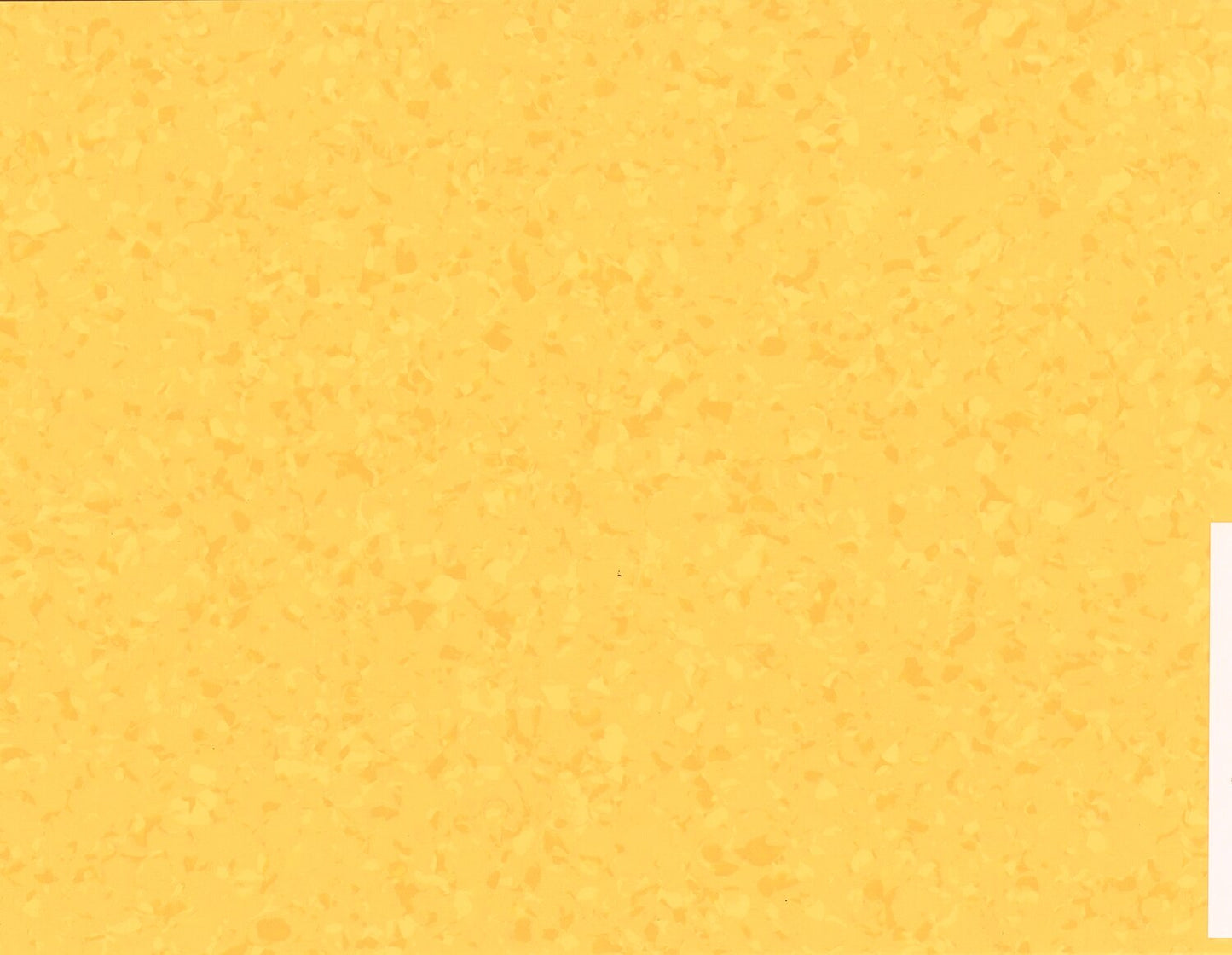 Suelo de PVC Homogéneo GERFLOR MIPOLAM SYMBIOZ™ 2MM de Espesor de 2X20MT